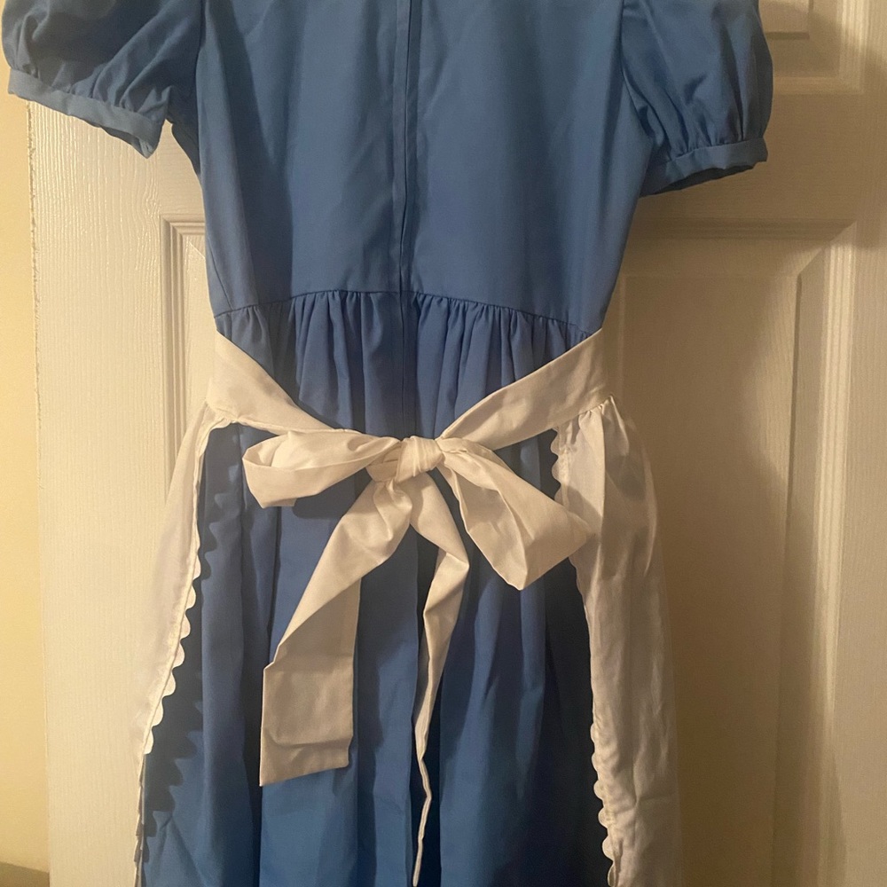 Alice in Wonderland costume